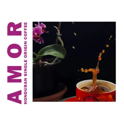Amor: Honduran Single Origin by Industry