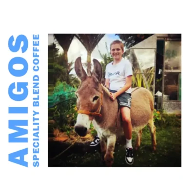 Amigos: Blend By Industry